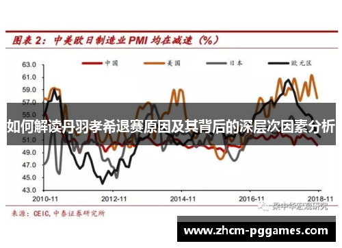 如何解读丹羽孝希退赛原因及其背后的深层次因素分析
