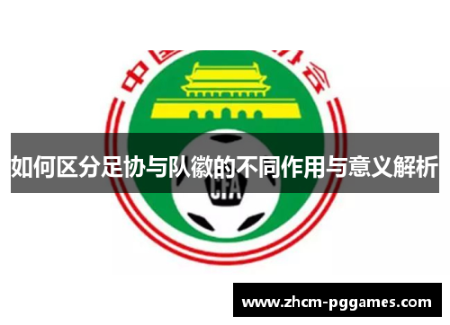 如何区分足协与队徽的不同作用与意义解析 如何区分足协与队徽的不同作用与意义解析