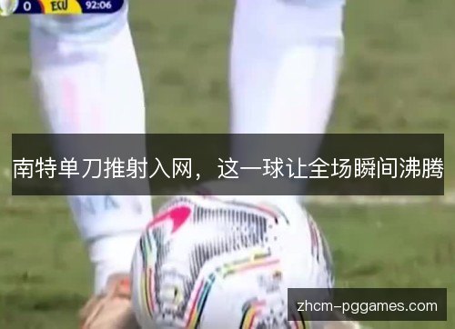 南特单刀推射入网,这一球让全场瞬间沸腾 南特单刀推射入网,这一球让全场瞬间沸腾